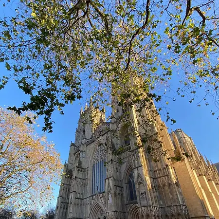 Cosy In Close To York