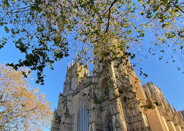 Cosy In Close To 约克